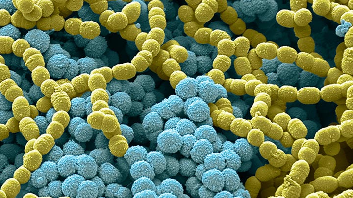 UV-C紫外线可用于空气、固体表面和水的消毒